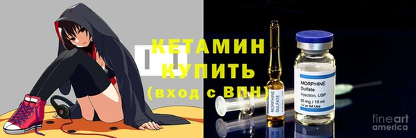 крисы Зерноград