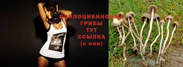прущий лед Зеленокумск