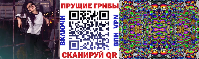 Купить где  Донецк  Псилоцибиновые грибы Psilocybe 